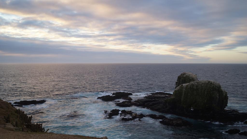 Pichilemu Apart Hotel Dış mekan fotoğraf